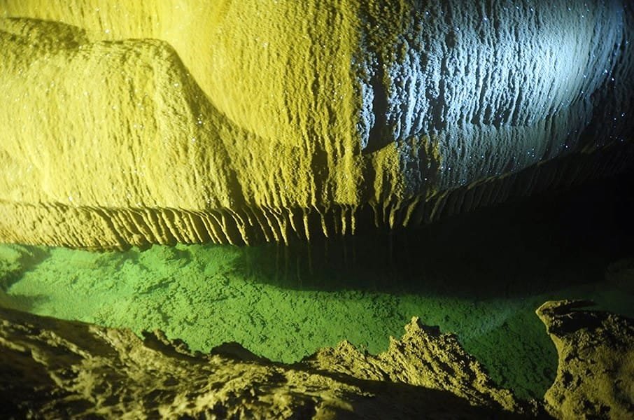 banner-image